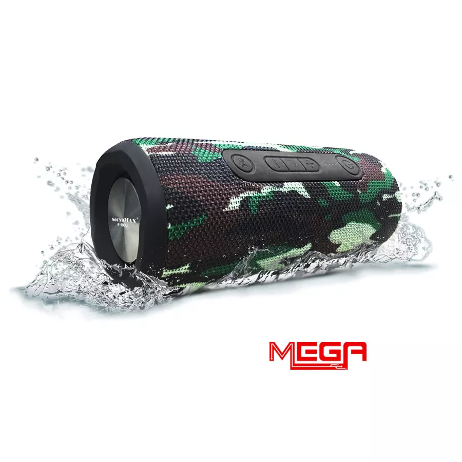 Loa Soundmax R800