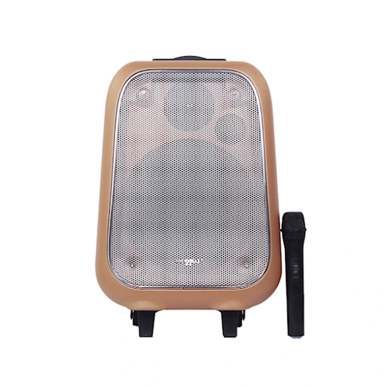 Loa Kéo Bluetooth Soundmax M6